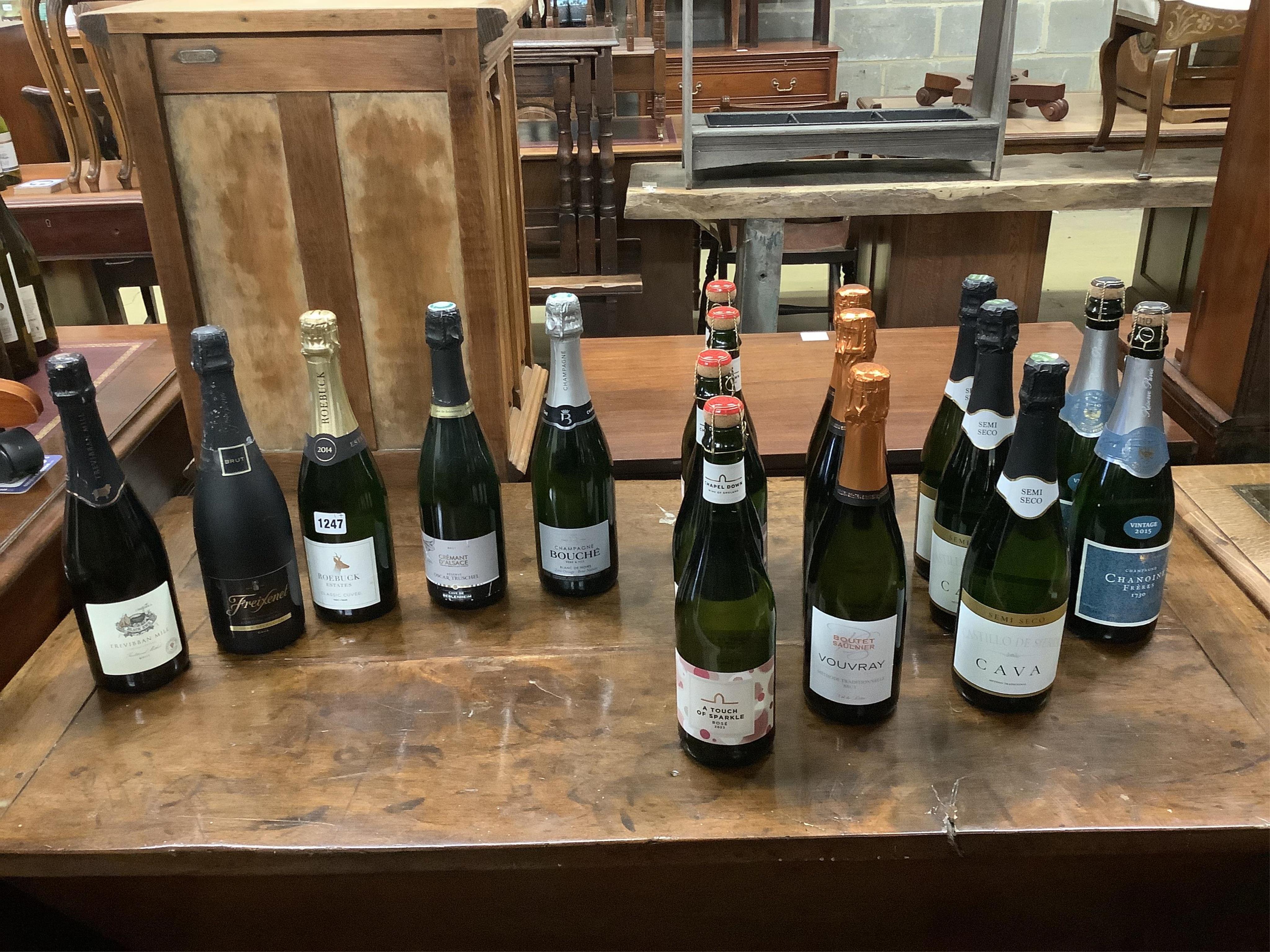 Sixteen bottles of assorted Champagne and sparkling wine to include Boutet Saulnier Vouvray, Chanoine Freres Vintage 2015 and Trevibban Mill 2014. (Surplus stock from a local wedding event company).